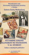 Výtvarné umenie Slovákov vo Vojvodine v 20. storočí